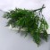 Bouquet "Fern Decorative Galant" 31 cm, mix