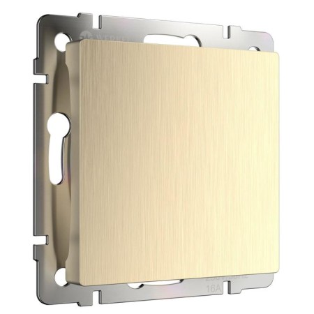 Plug wl10-70-11, color champagne-1