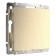Plug wl10-70-11, color champagne