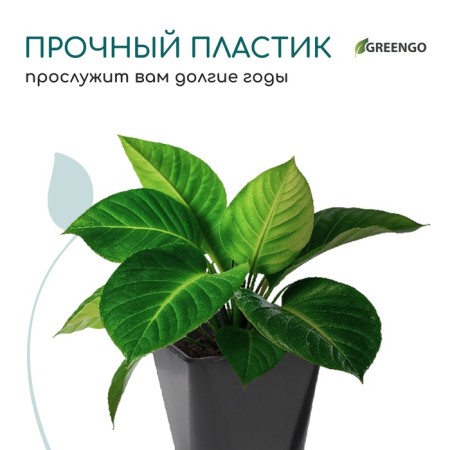 Pot for seedlings, 2 l, d = 14 cm, h = 15 cm, black, greengo-5