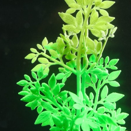 Silicone Aquarium plant, glowing in the dark, 6.5 x 19 cm, green-2