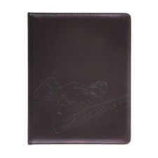 School diary, 5-11 grade, PVC cover, football player, brown