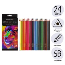 Pencils 24 colors TOP Calligrata, in a cardboard box, neck diameter - 3mm, 5b
