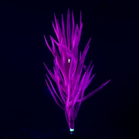 Silicone aquarium plant, luminous in the dark, 7 x 12.5 cm, purple-1