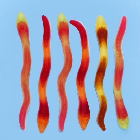 Marmalade Fruittella, "Snakes XXL", 70 g-2