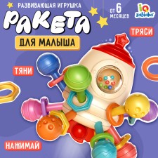 Developing toy 