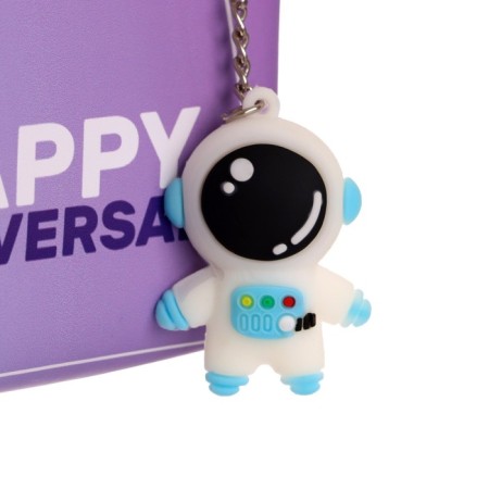 School Penal on a zipper, with a suspension, "Cosmos", mix-2