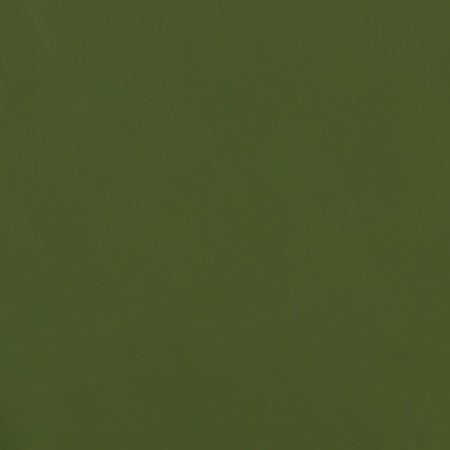 Flower film packaging powder "coniferous", 0.5 x 9 m-1