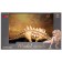 Dinosaurian figure "World of dinosaurs: Polakantus", 23 cm