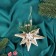 Decoration Christmas tree "Star of Happiness" 14x13 cm