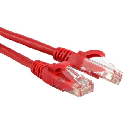 The Lanmaster TWT-45-45-0.5-RD UTP RJ-45 patch-1