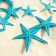 A set of natural sea stars, 1.5 - 2.5 cm, 20 pcs, blue