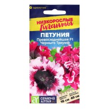 Petunia seeds 