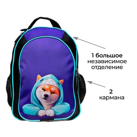 School backpack, 37 x 27 x 16 cm, ergonomic back, calligrata b "Siba"-2