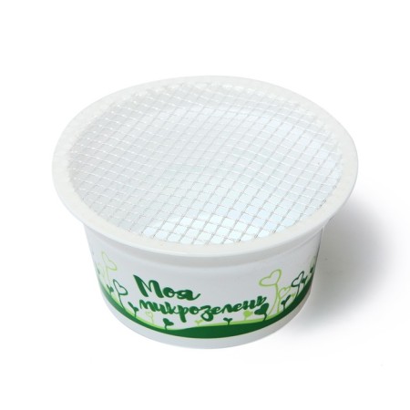 Set for growing "My Microside", Korses Salates-2