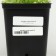 Belarmed offspring, P9 pot, 1 pc, Spring 2024