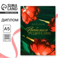 Diploma 