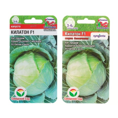 Cabinet of cabbage seeds "Kilaton", F1, 10 pcs.