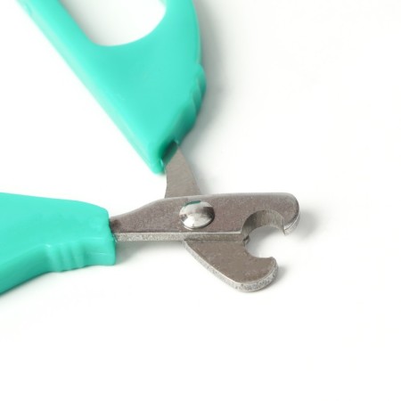 Small scissors are small with an emphasis for the finger, green-2