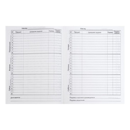 Diary for grades 5-11, "white", solid cover 7BC, glossy lamination, 48 sheets-7