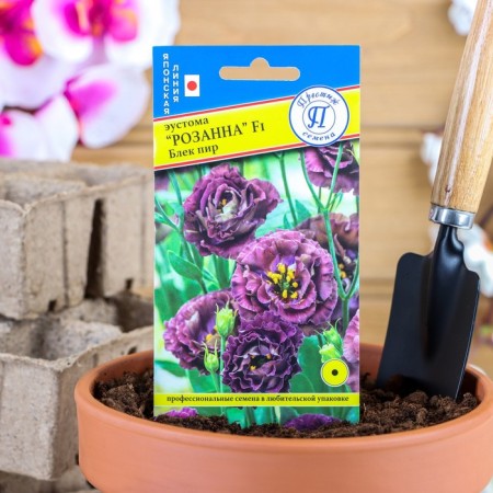 Eustoma flower seeds "Rosanna" Black F1, Drage, 3 pcs