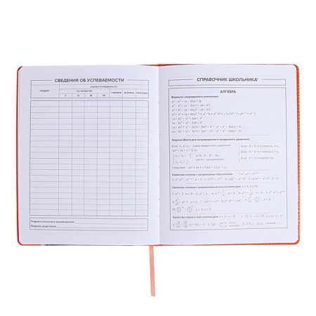 School diary for grades 1-11, "cat", firm covering with foam, artificial leather, lacing, liesse, universal cheat sheet, 48 sheets, block 80g/m2-8