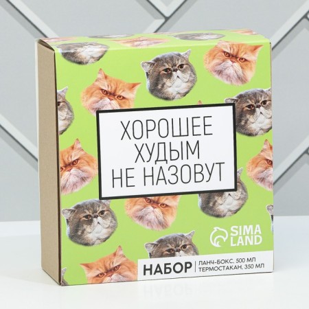 Gift set "Fat cats": thermostatic 350 ml., Lunch box 500 ml-6
