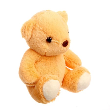 Napchik children with a soft toy "Bear"-11