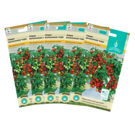 Seeds Tomat "Balcony Miracle" ultra -rapid, stunted, set of 5 pcs