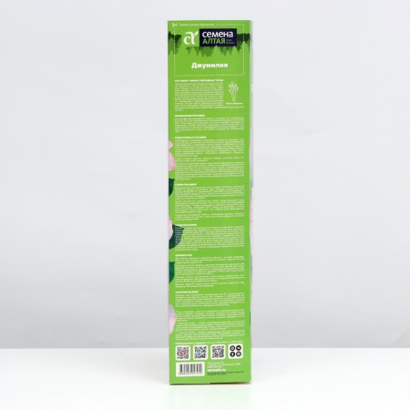 Seedling rose tea-hybrid Jumilia, 1 pc, spring 2024-1
