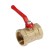 Ballic "Gallop" Practic DN-50 120, internal/internal thread 2 ", pen