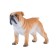 Figure Konik "English bulldog"