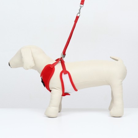 A set with a soft harness and a bow, size l, leash 120 x 1.5 cm, og 35-50 cm, red-1