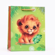 Gift package 
