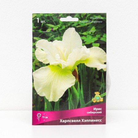 Iris Siberian "Harpswell Happones", 1 pc, rr I, spring 2024