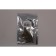 LED lamp KS-Auto, T10, 12 V, 2 COB 2CL, white