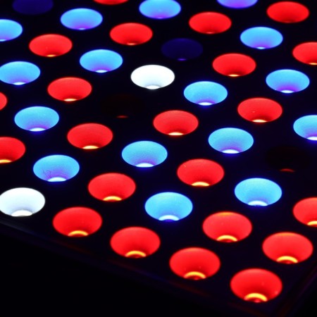 LED phyto -light, 50 W, 200 mm, IP20, 265 V, full -spectral-3