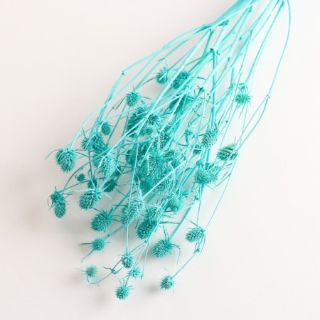A set of dried flowers "Eringium", ban 5 pcs, length 50 (+/- 6 cm), turquoise-2
