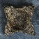 Steel for trifles "on four elephants" gold, 13x13x5cm