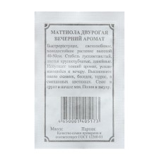 Matthiola seeds 