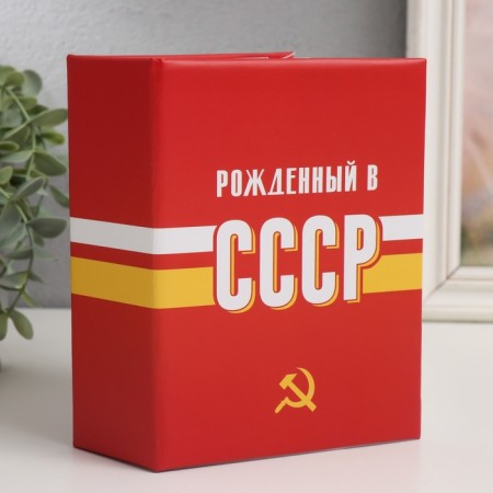 Photo album in 100 photos "USSR Time" 10x15 cm
