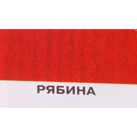 Protective texture coating of wood, mountain ash, 2.7 liters-1