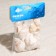 Set of shells Horse Conch, 100 g