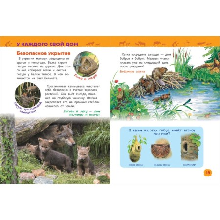 Encyclopedia for the kindergarten "Baby animals", Klyushnik L.V.-4