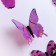 Set for decorating "Butterflies", 12 pcs, purple color