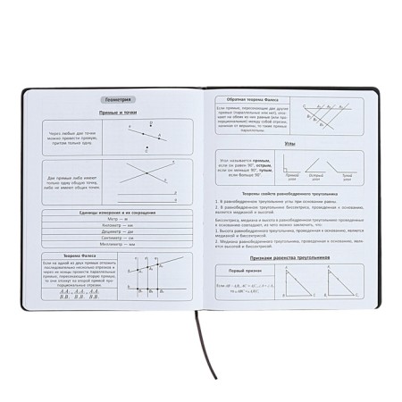 The universal diary for the 1-11 classes "Anime", a solid cover made of artificial leather, application, lies, 48 ​​sheets, black-8