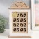 Keywater tree 6 hooks "Archite window. Maple leaf" 20x6.5x32 cm