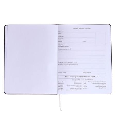 Universal diary for grade 1-11 Kitties, hard cover, artificial leather, silk-screen printing, Lyasse, 80 g/m2-3