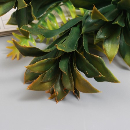 Bouquet "Platicurium and Fern" 40 cm-1