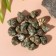 Natural decorative shells "Green shell" set 100 grams